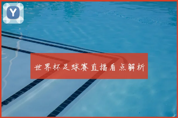 世界杯足球赛直播看点解析