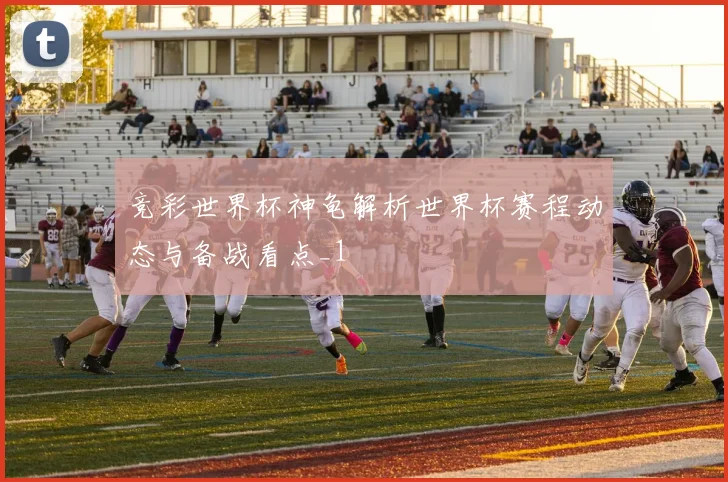 竞彩世界杯神龟解析世界杯赛程动态与备战看点_1