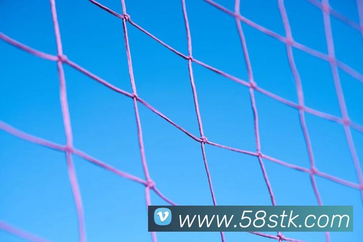 博亚汇app平台生态图