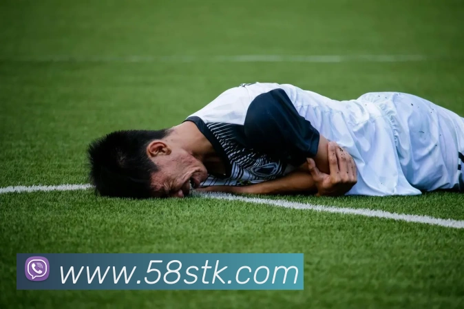 博亚汇app全站App